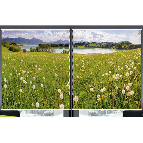 Rèm Cuốn In Tranh 2 Tấm Mẫu Hoa_TV Hoa 243
