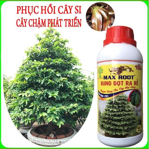 Bung đọt ra rễ max root , chuyên phục hồi cây si cây chậm phát triển ( chai 500ml )