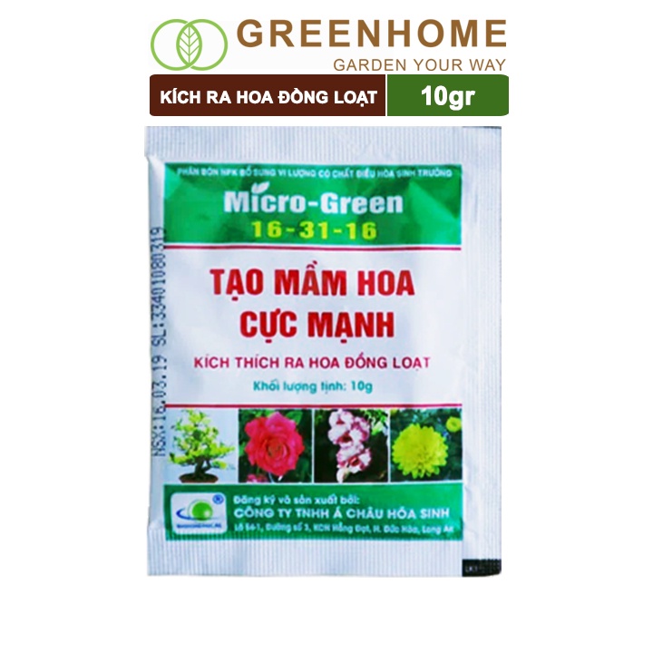 Phân kích ra hoa, Micro Green 16-31-16, gói 10gr, tạo mầm hoa cực mạnh, thúc đẩy ra hoa đồng loạt |Greenhome