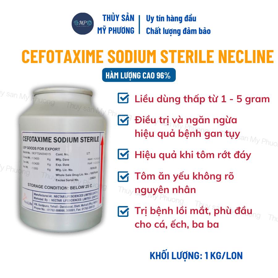 Cefotaxime 98% Necline ks hàm lượng cao Ấn Độ gan sưng vàng mờ đường ruột phân trắng ehp 1kg tôm thẻ cá lươn ếch ốc baba
