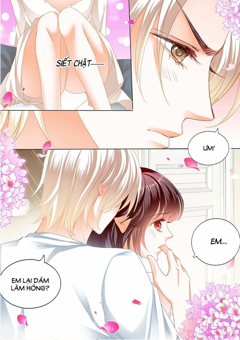 thiểm hôn kiều thê chapter 261 8