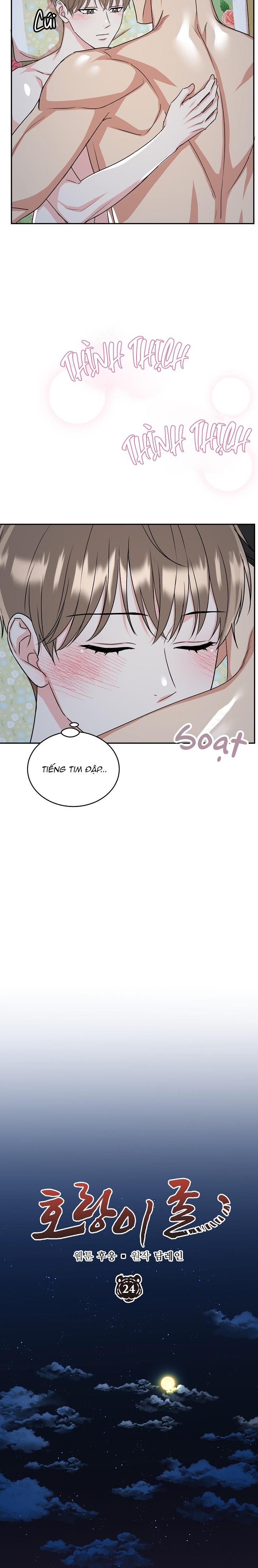 hổ dữ chapter 24 11