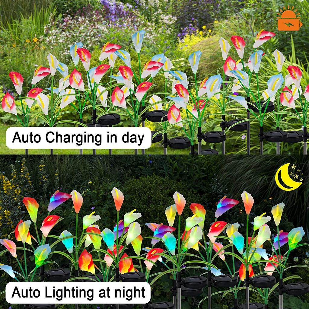 Đèn LED Năng Lượng Mặt Trời Chống Thấm Nước Hình 4 Cành Hoa Calla Trang Trí Sân Vườn Và Sân Vườn