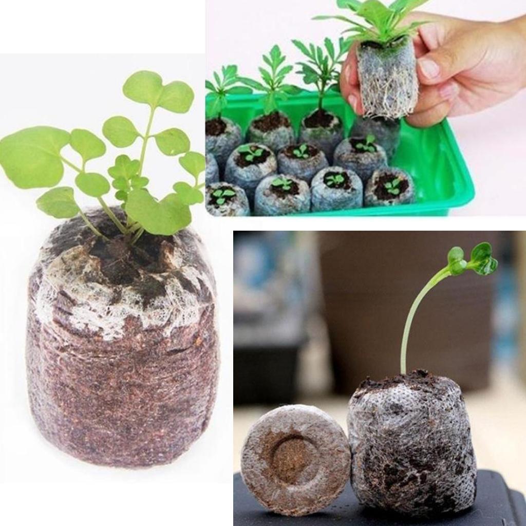 80pcs Starting Seedling Soil Block Starter Peat Blocks
