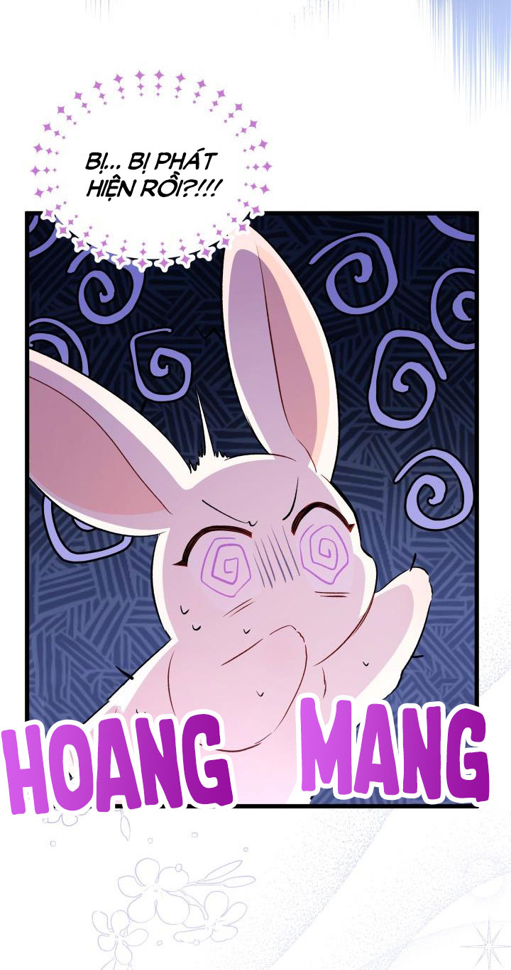 mối liên kết giữa báo đen và bé thỏ chapter 45 65