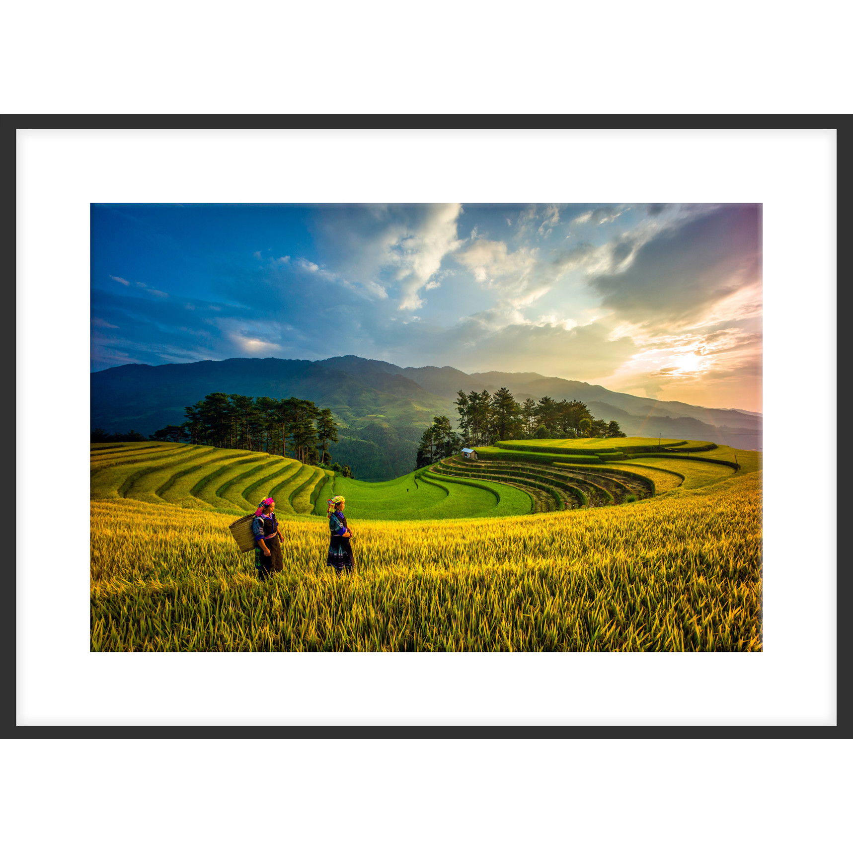 Tranh Treo Tường Phong Cảnh Ruộng Bậc Thang, In Trên Giấy Glossy Cao Cấp Với Công Nghệ In Tiên Tiến Của Nhật Bản