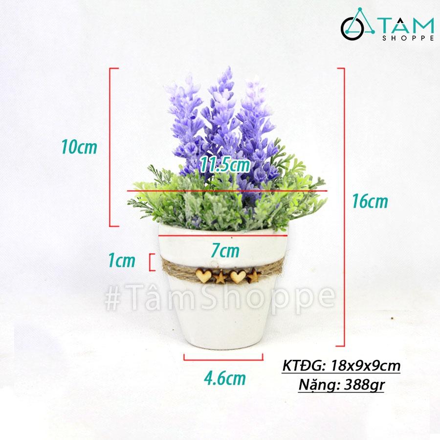 Chậu hoa lavender giả đề bàn tim sao gỗ CHDB-103