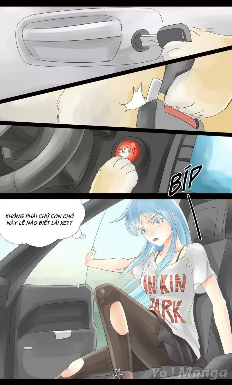 một con chó chapter 19 2