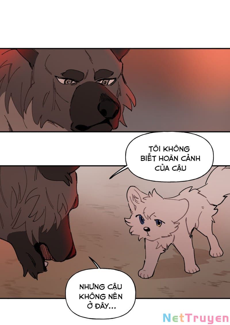 lumine - cội nguồn ánh sáng chapter 107 5