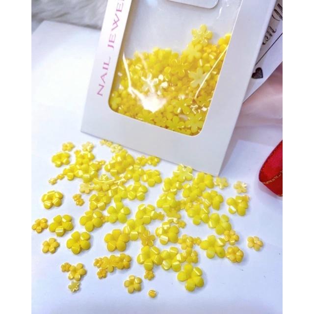 Sét hoa mai vàng mix size