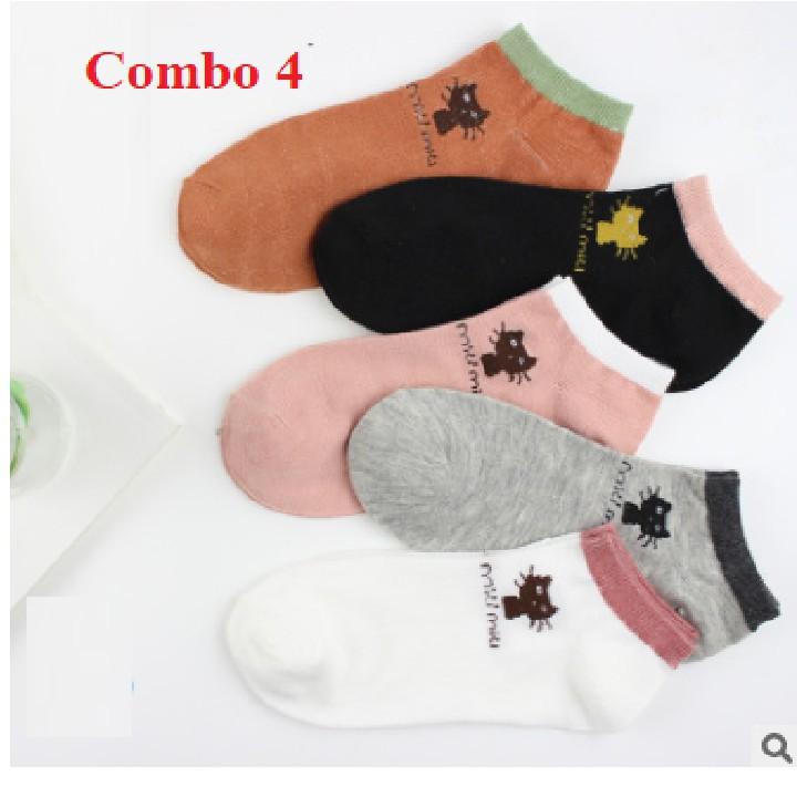 Combo 5 đôi tất nữ Hàn Quốc