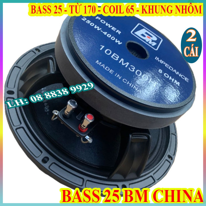 CẶP BASS 25 BM CHINA COIL 65MM TỪ 170 NHẬP KHẨU CHÍNH HÃNG - GIÁ 2 CHIẾC