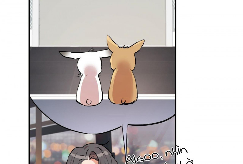 những chú thỏ của hapypy chapter 32.5 8