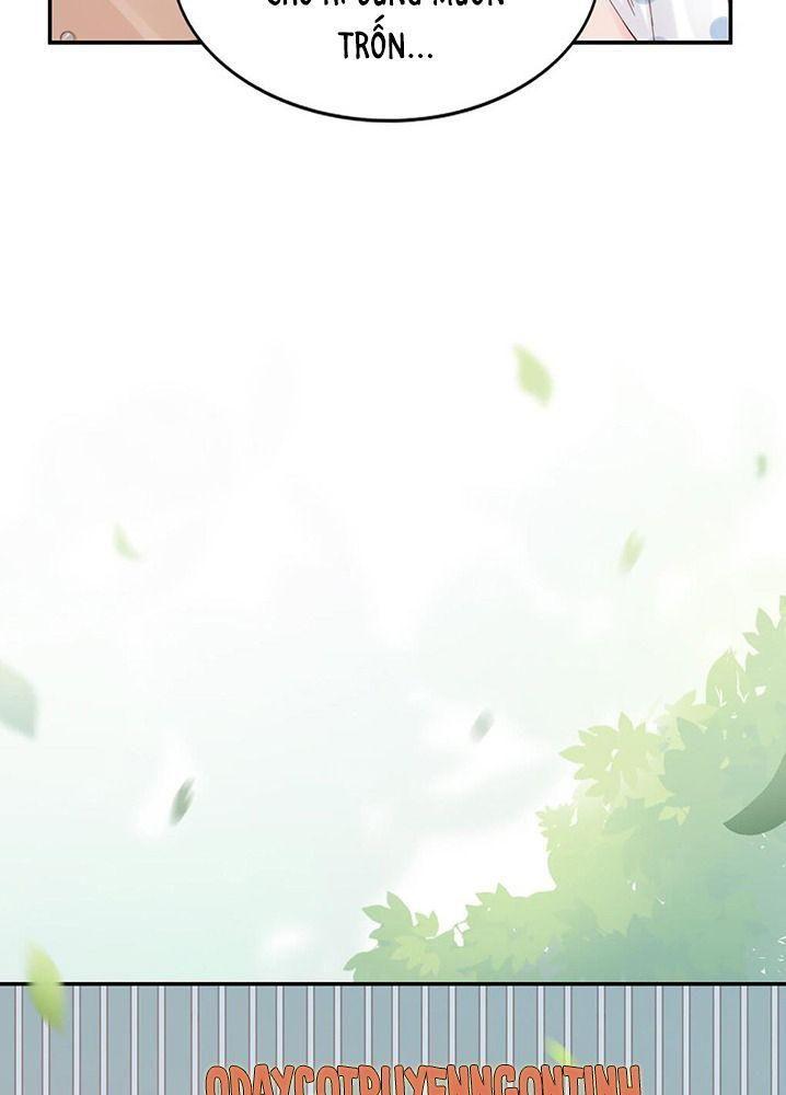 chiếc bật lửa và váy công chúa (b) chapter 8 9