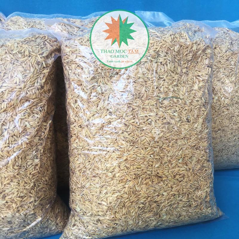 Vỏ Trấu Tươi nguyên chất – Vỏ trấu trộn giá thể trồng cây trồng hoa, phủ bề mặt làm mát giữ ẩm đất