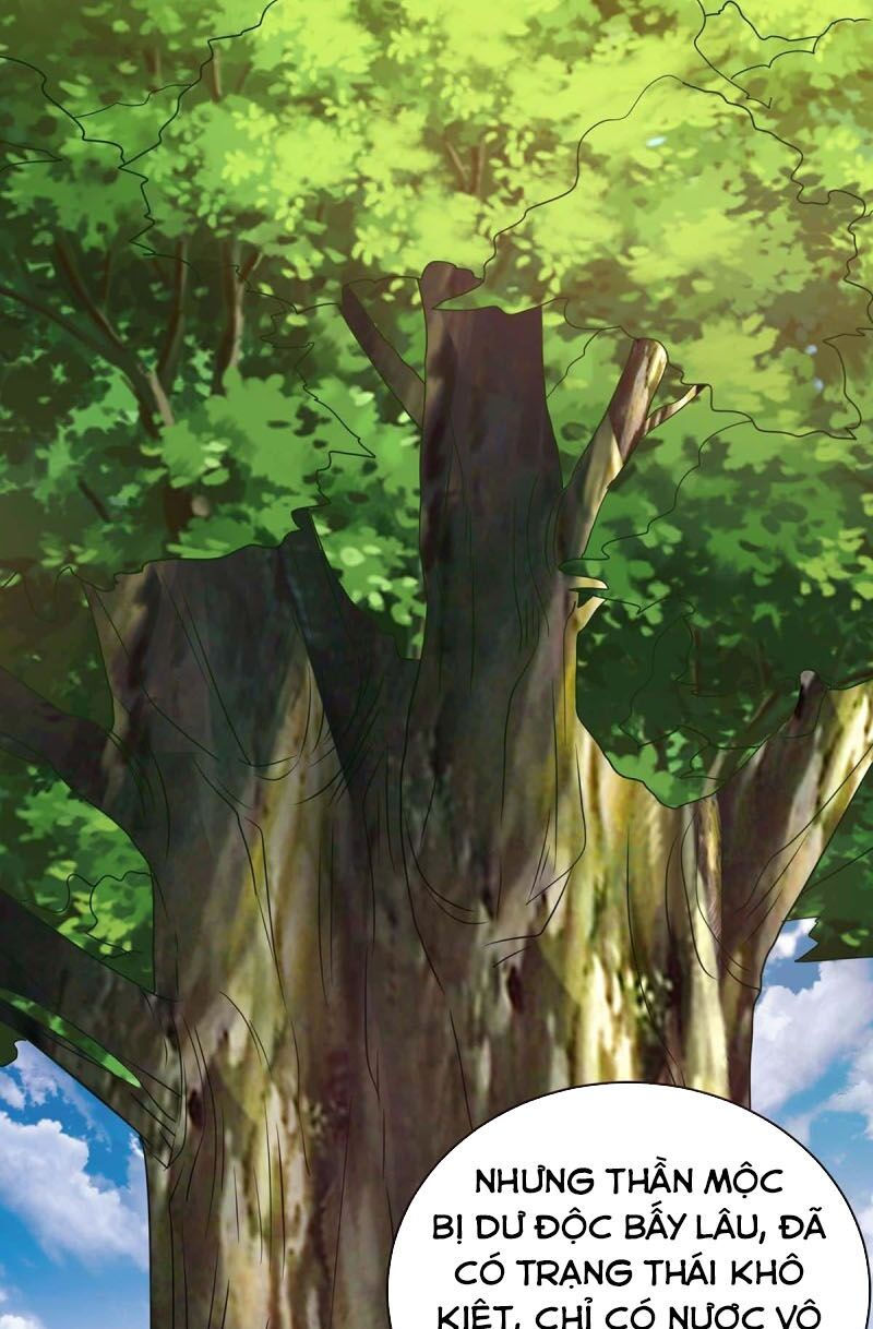 tối cường thăng cấp chapter 178 9