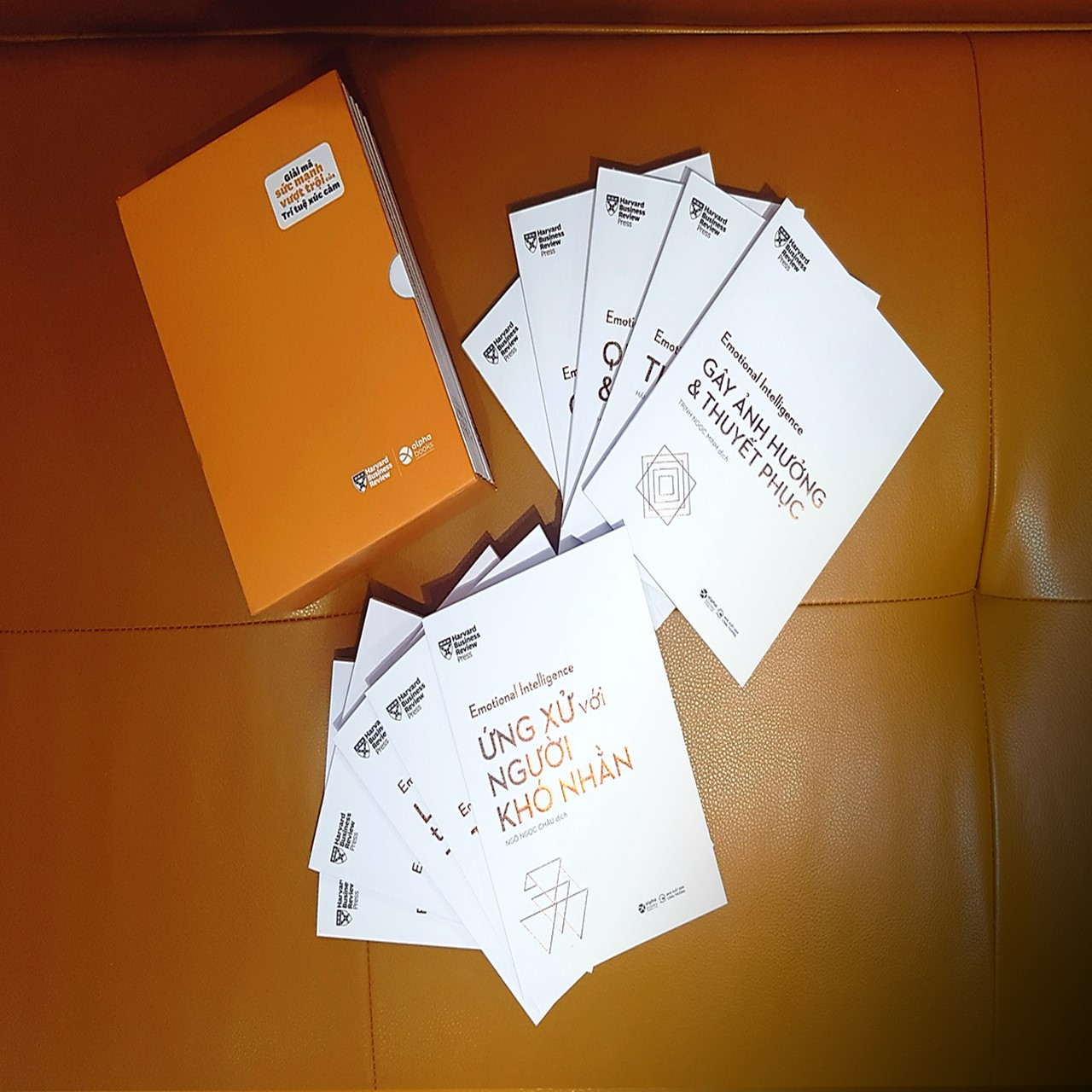 Sách - HBR Trí Tuệ Xúc Cảm – Emotional Intelligence (Bộ 10 Cuốn)