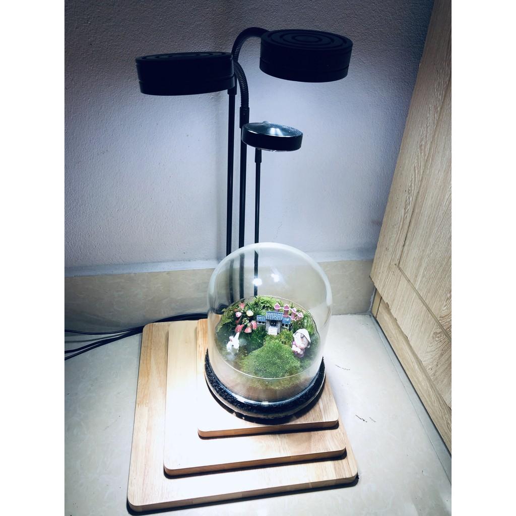 Đèn đế gỗ nhiều công suất dùng cho bể Terrarium, bán cạn, thủy sinh nhiệt độ màu 6000-6500K