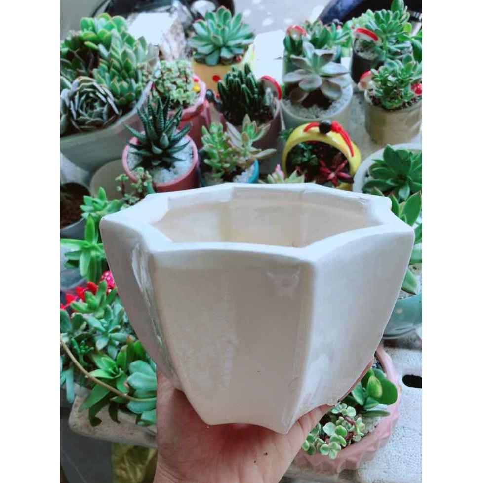 Chậu tráng men Bán Chạy