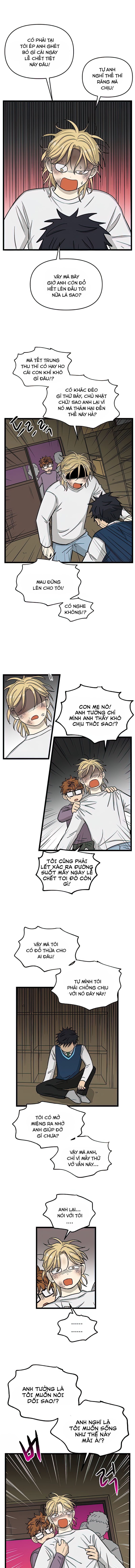 no home - không nhà chapter 159 8