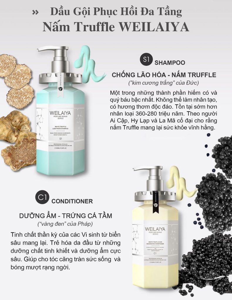 Dầu Gội Phục Hồi Đa Tầng Nấm Truffle Weilaiya - Tặng mini dầu xả gừng