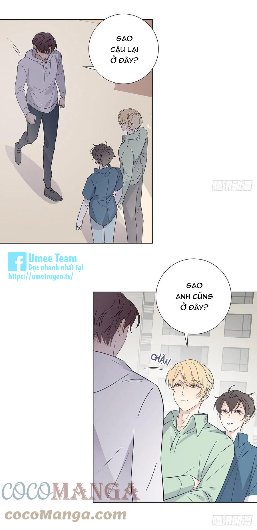 hôm nay nam giả trang nữ vẫn chưa được cầu hôn! chapter 73 24