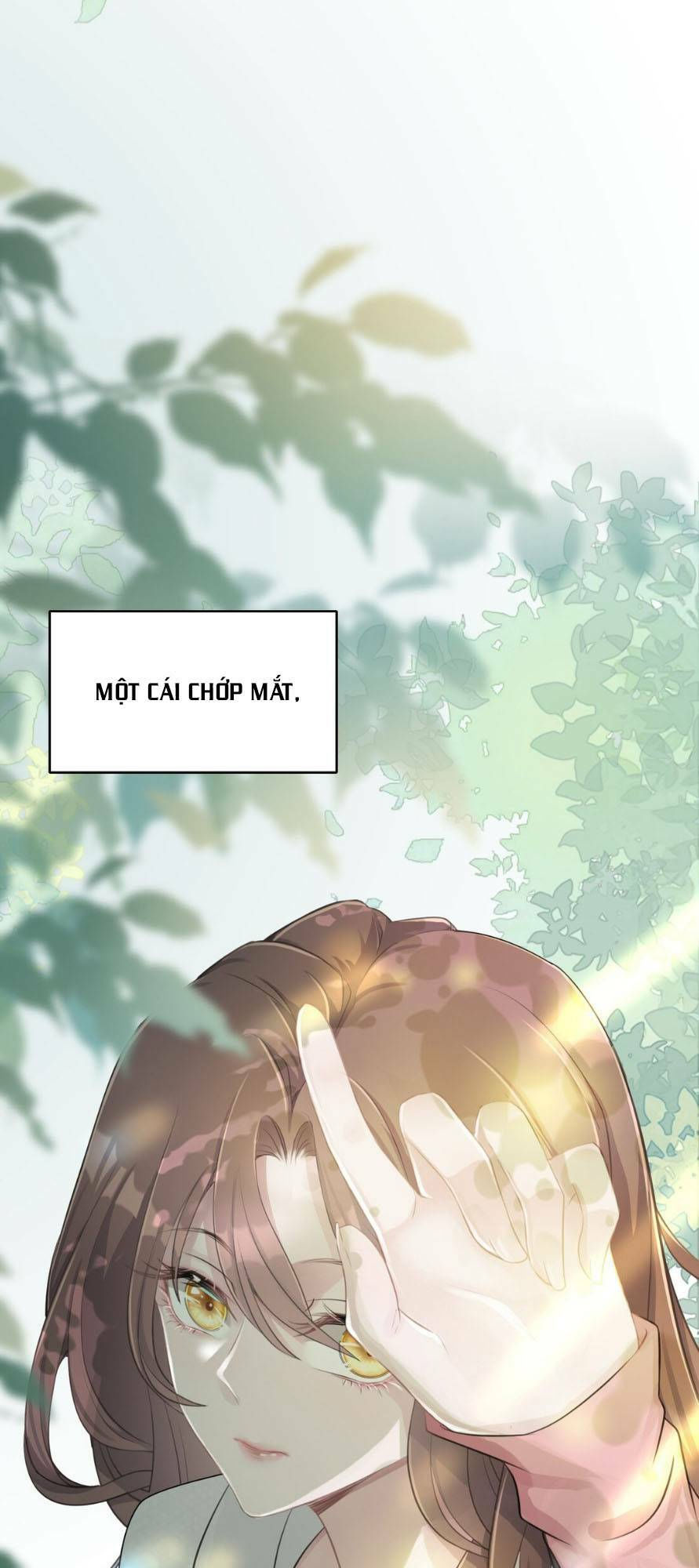 hãy để em được hạ cánh nơi anh chapter 2 36