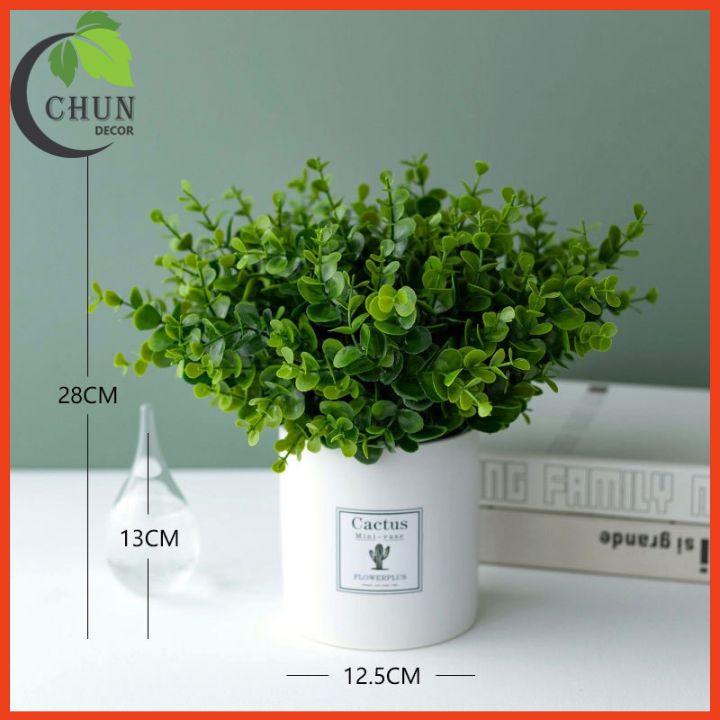 Chậu Lá Kim Tiền Nhân Tạo Xanh Mướt Cao 25-28cm Trang Tí Nhà Cửa, Cửa Hàng, Văn Phòng, Lớp Học