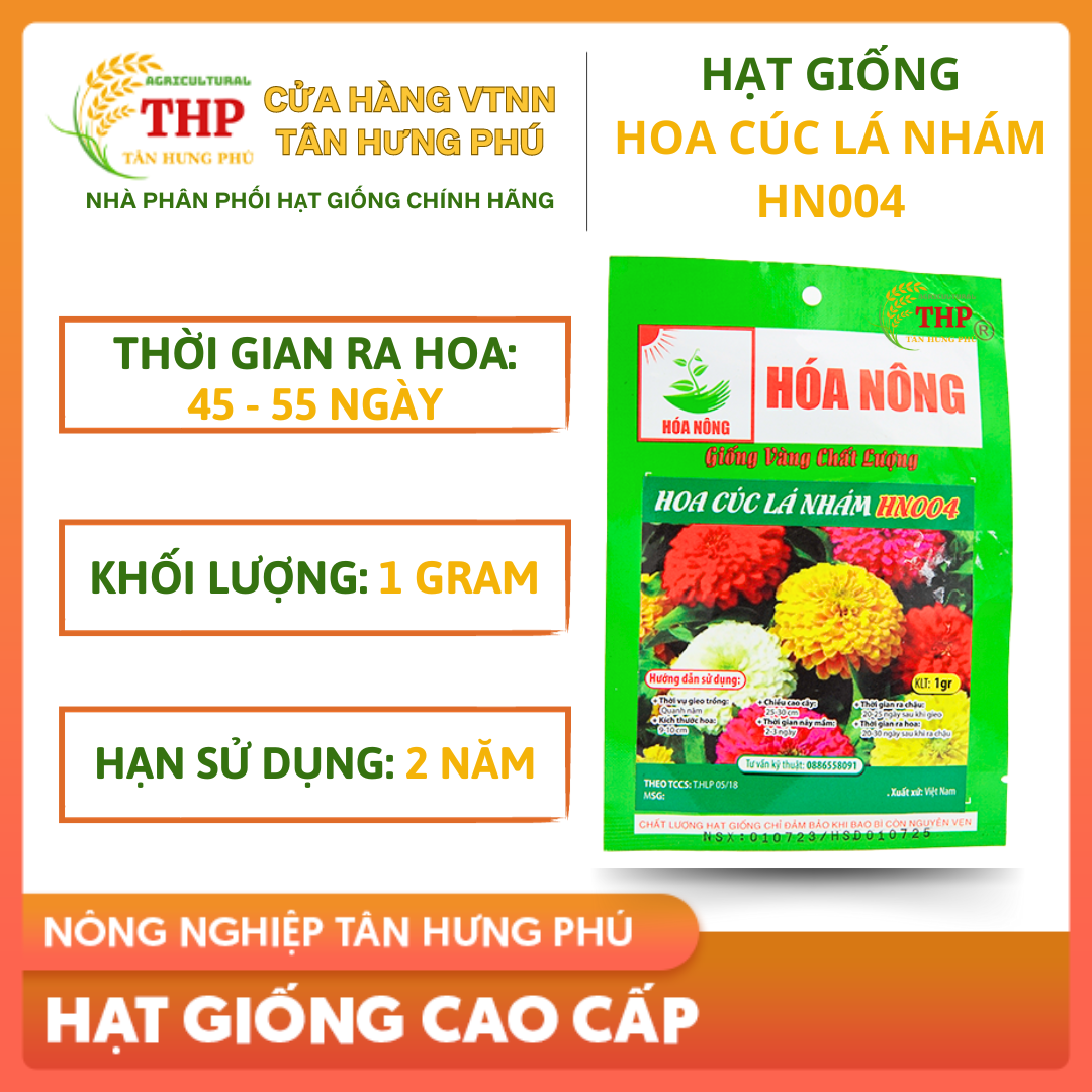 Hạt giống Hoa Cúc Lá Nhám HN004 | Hạt giống | gói 1gr