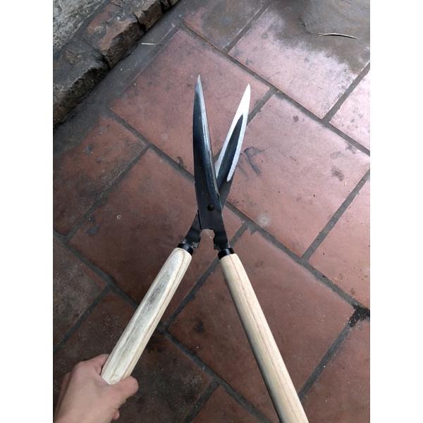 Kéo cắt cây tỉa cành