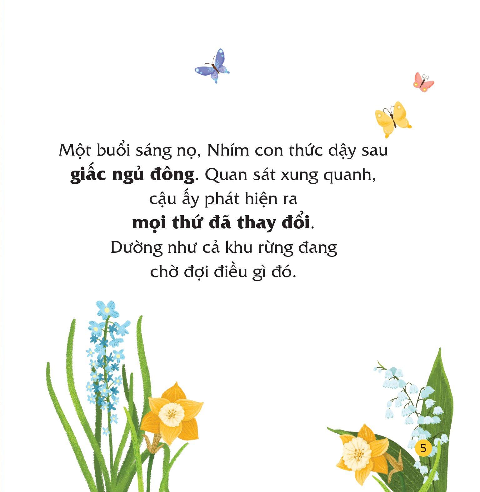 Bộ Sách Truyện Kể Bốn Mùa - Nhím Con Ham Học Hỏi