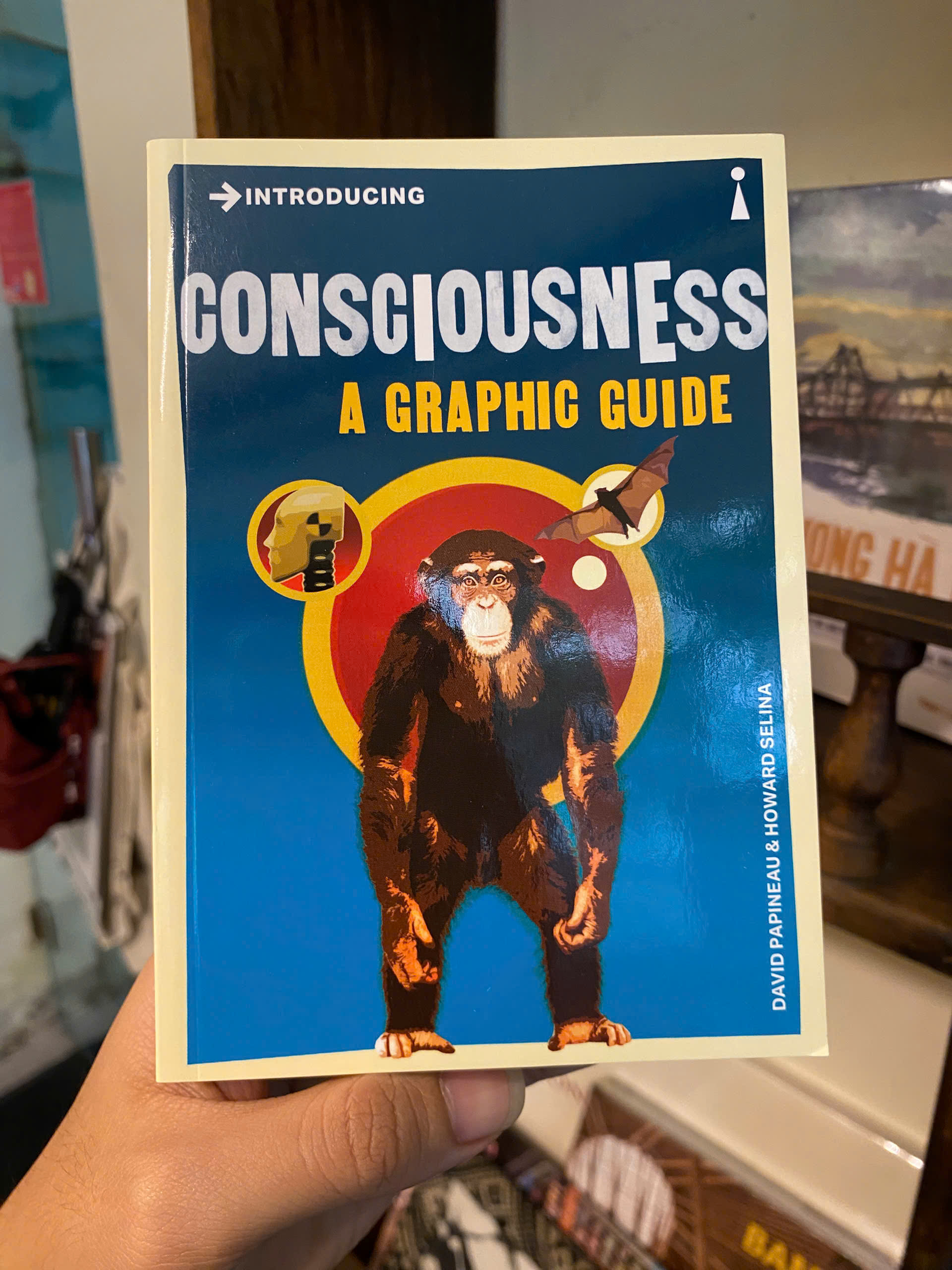 Sách - Introducing Consciousness: A Graphic Guide by David Papineau | Philosophy / Nonfiction
