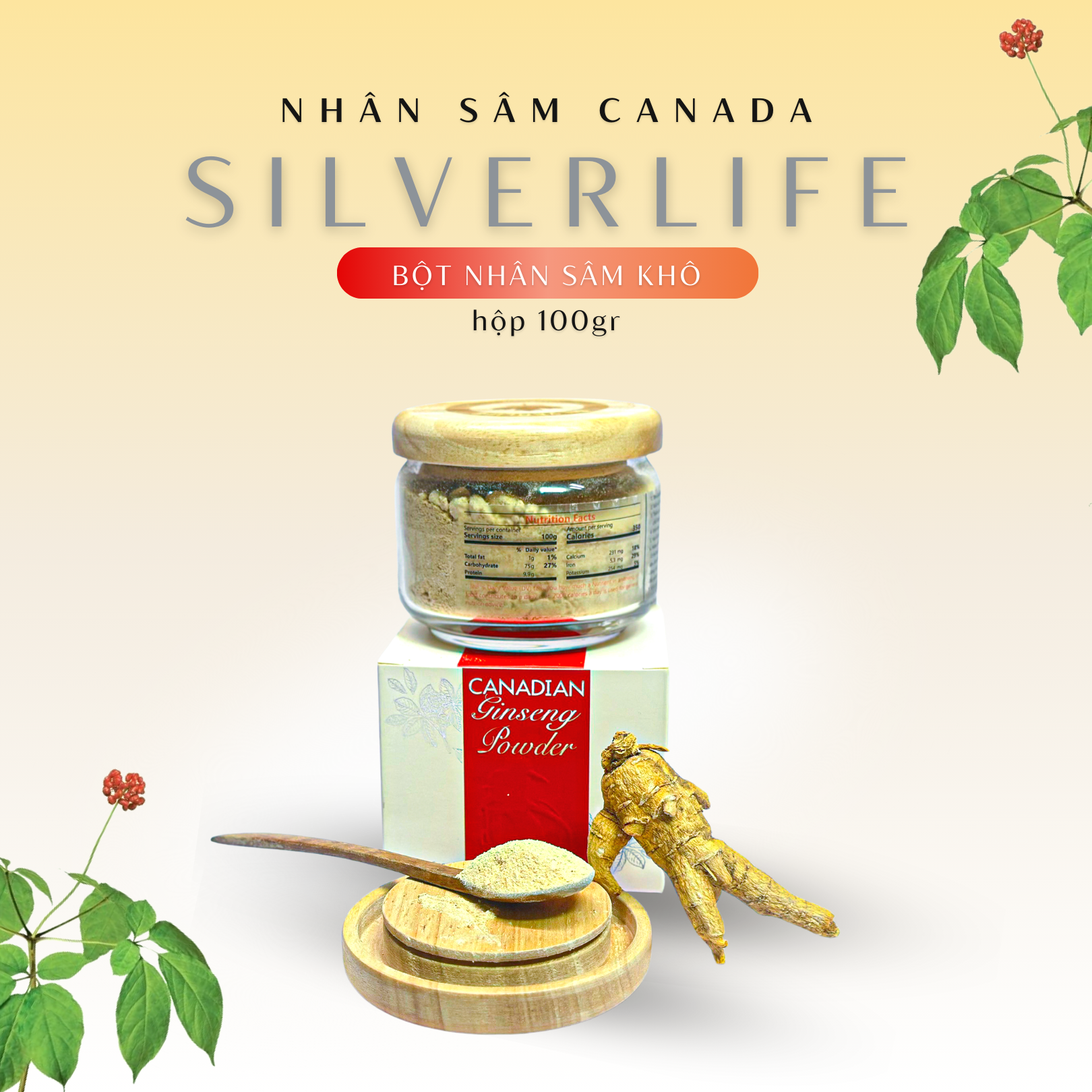 Nhân sâm Canada SilverLife Powder | Bột nhân sâm khô Canada nguyên chất 5 năm tuổi
