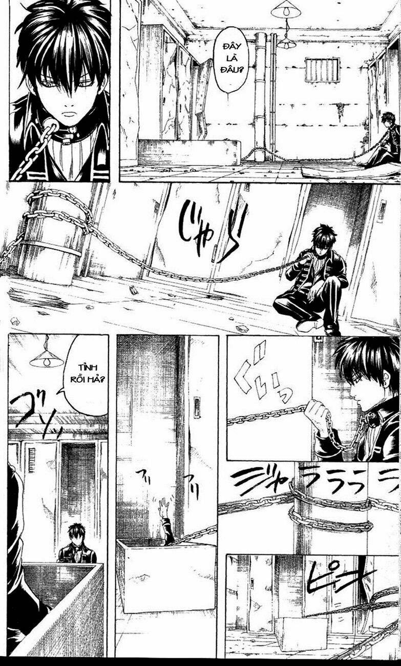 gintama - linh hồn bạc chapter 233 4