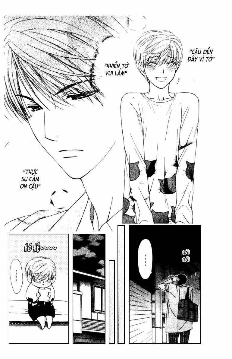 neko neko honey chapter 5 17