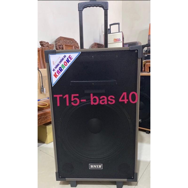 Loa Kéo T15A BNIB Bass 40 Âm thanh tinh khiết, sống động, kèm 2 mic Wireless, kèm khiển từ xa - Hàng Nhập Khẩu