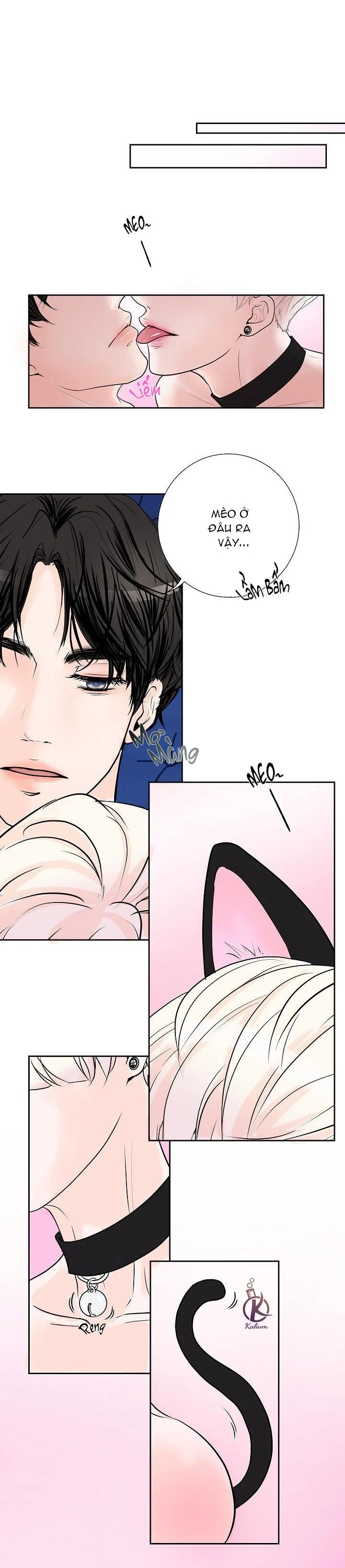bạn có tò mò về bài review? chapter 23 9