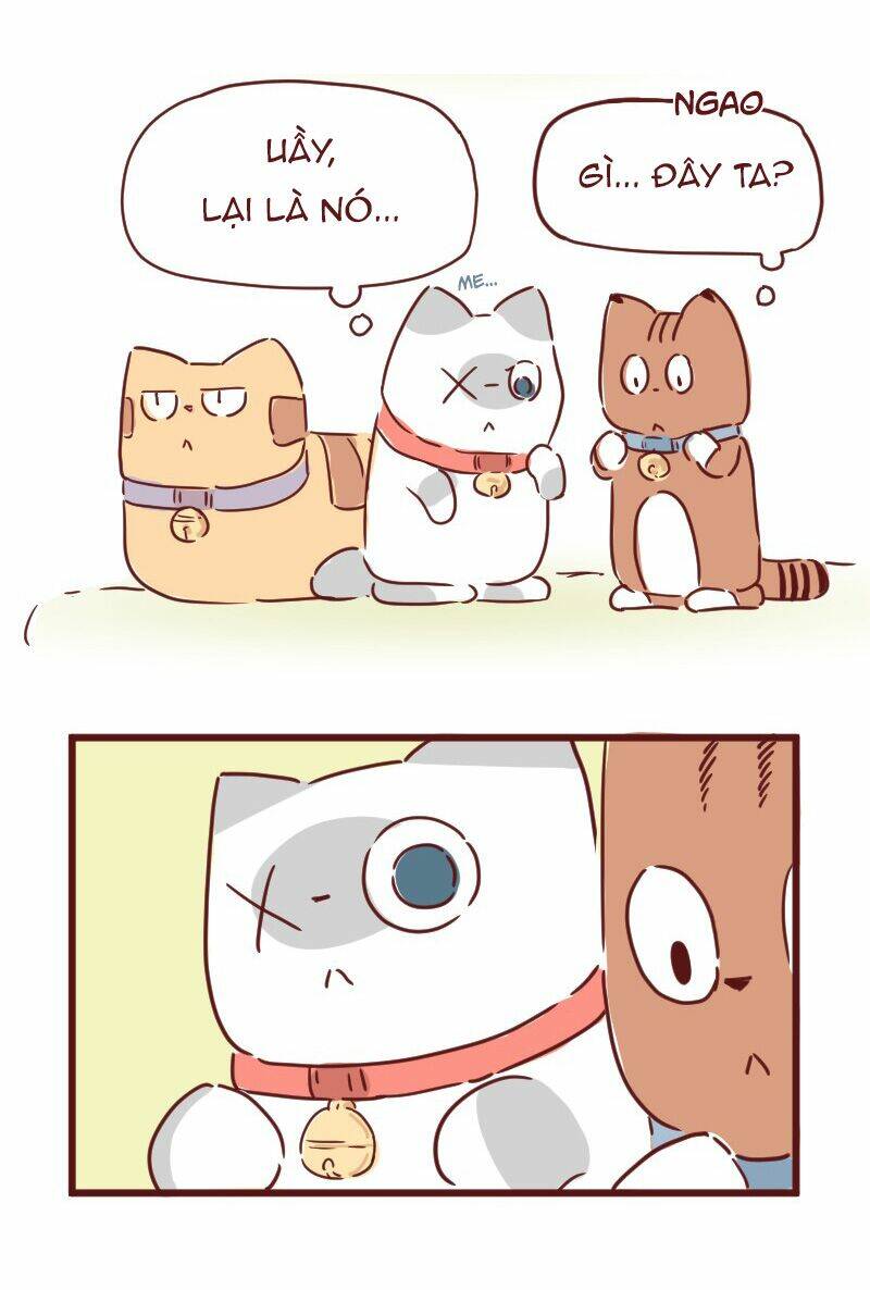 saphie: chú mèo một mắt chapter 28 6