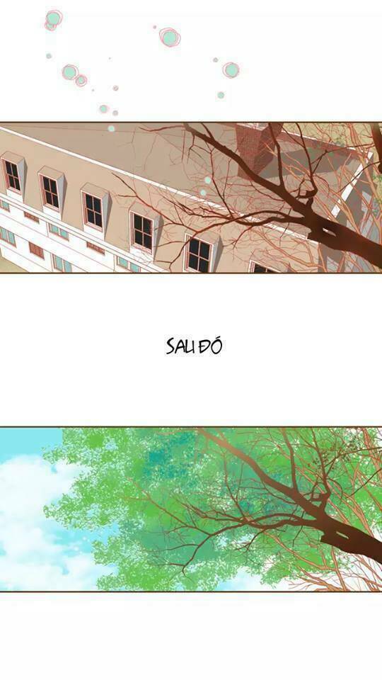 tân lang yếu tòng tiểu dưỡng khởi chapter 12 14