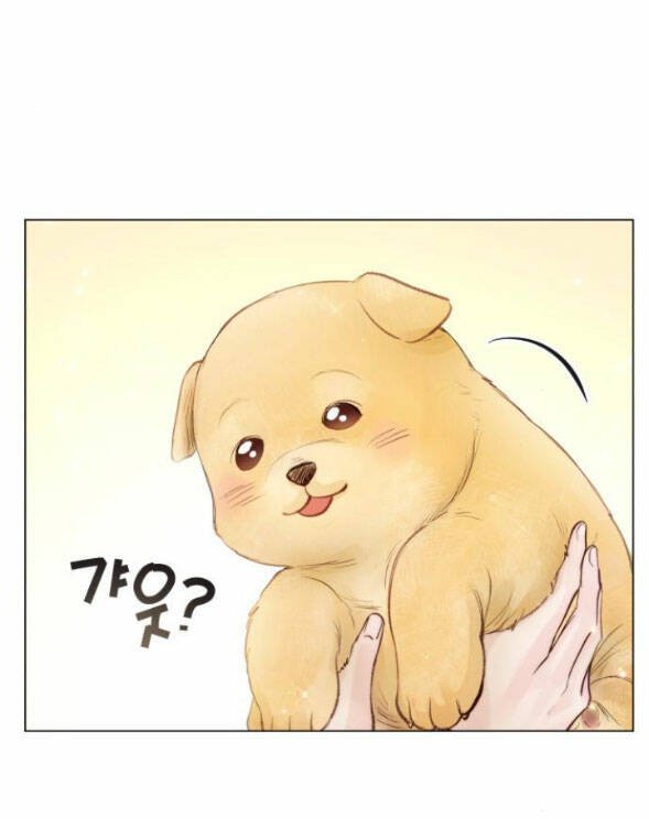 nhất định chúng ta sẽ được hạnh phúc chapter 79.1 4