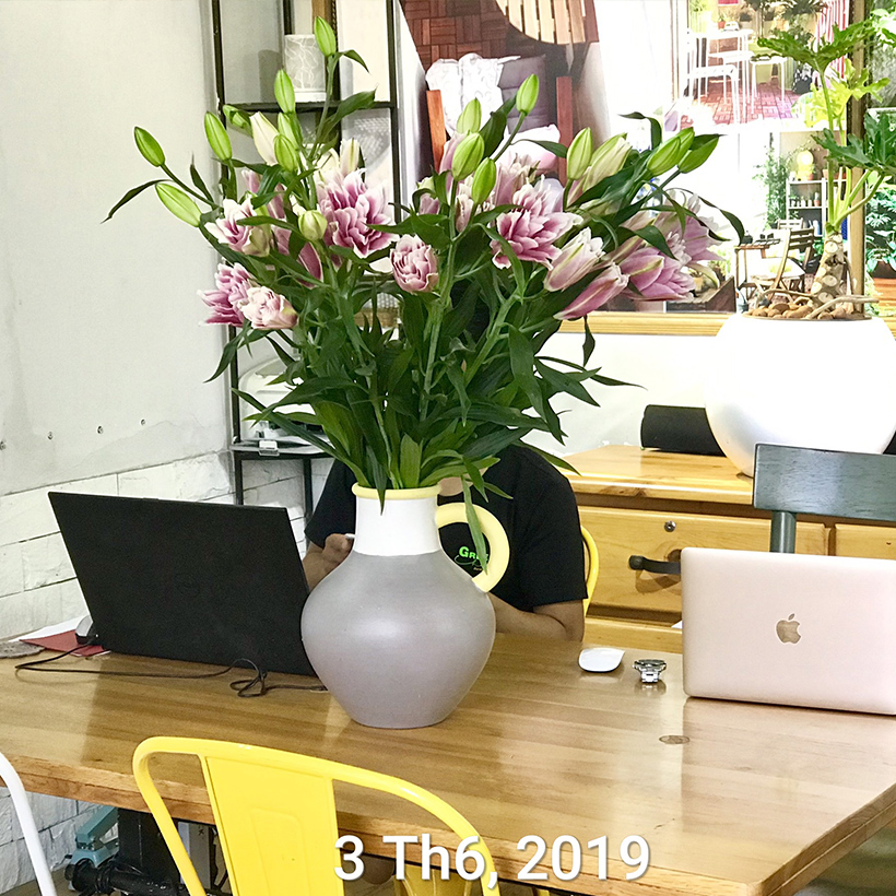 Bột Cắm Hoa Lily Tươi Lâu, Hiệu Longlife nhập khẩu Isarel