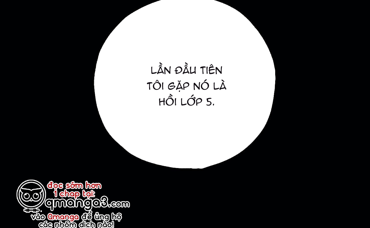 chàng giao pizza và gold palace chapter 26 3