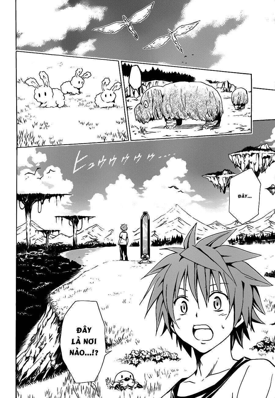 bọn tớ thích cậu! rito 2 - venus chapter 28 19