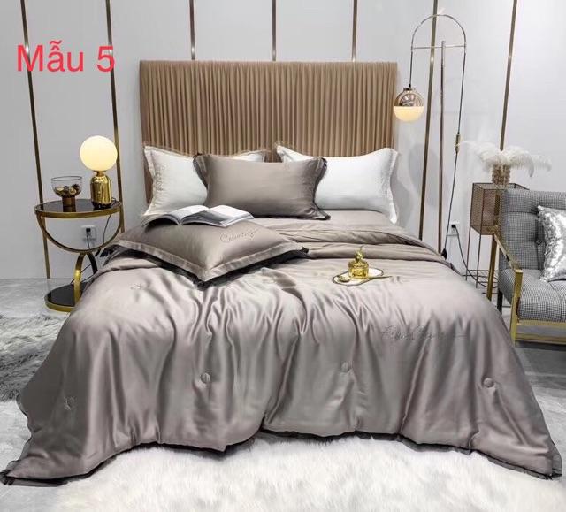 Bộ lụa thêu tencel 60S chăn trần FLY COUNTRY