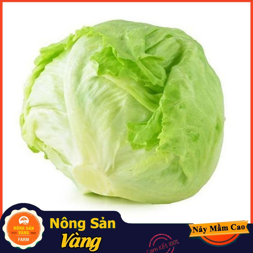 Hạt giống Xà Lách Mỹ Minetto - Nông Sản Vàng