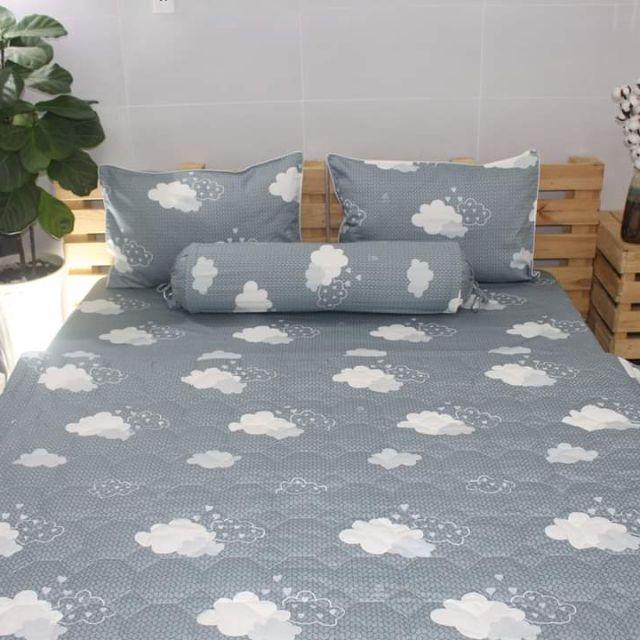 Bộ Drap 100% Cotton