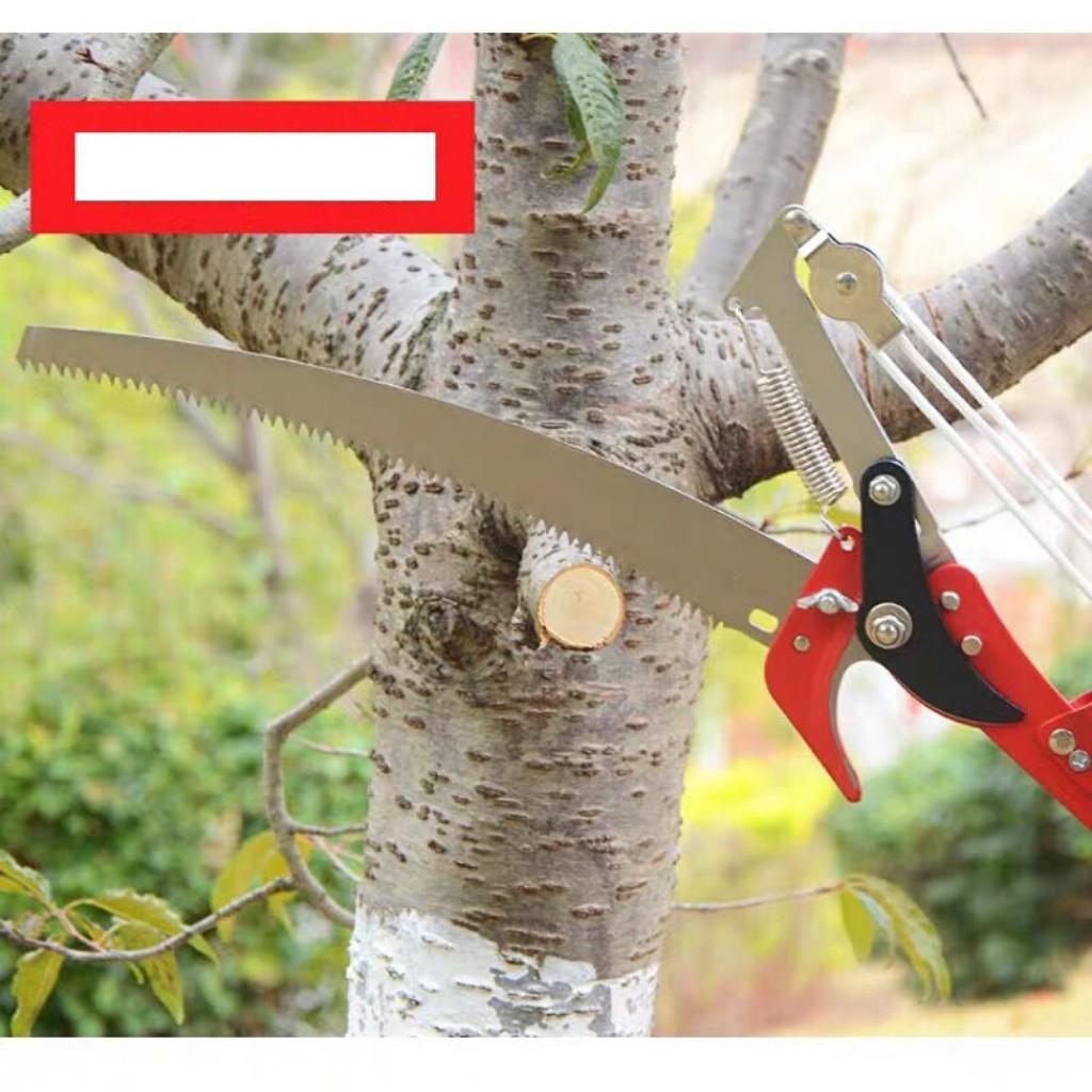 Đầu kéo tỉa cành , cắt cành và hái quả trên cao kết hợp cưa
