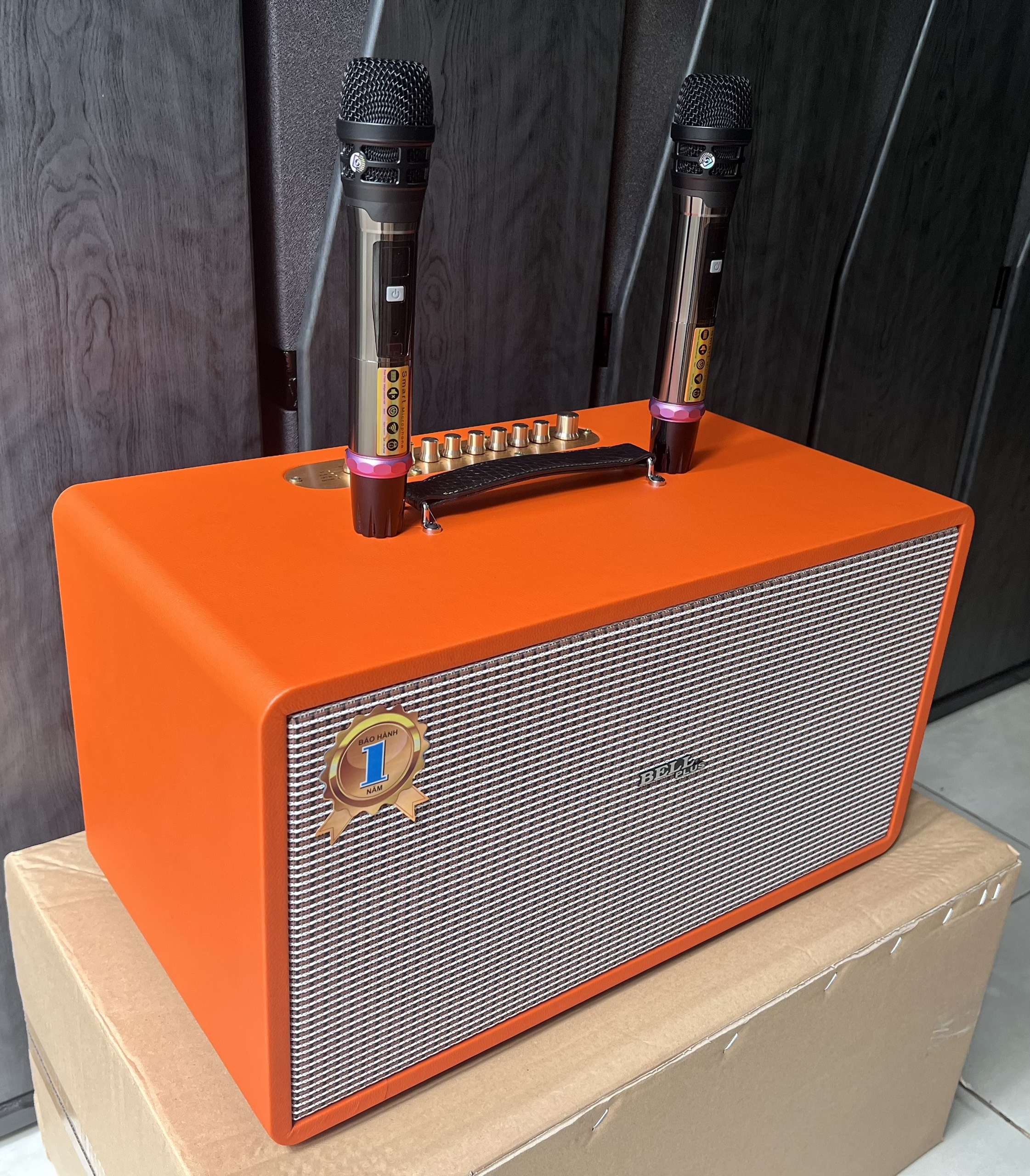 Loa kéo xách tay di động Bellplus bass 20 đôi 2 chép cao cấp