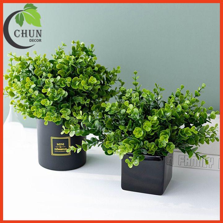 Chậu Lá Kim Tiền Nhân Tạo Xanh Mướt Cao 25-28cm Trang Tí Nhà Cửa, Cửa Hàng, Văn Phòng, Lớp Học