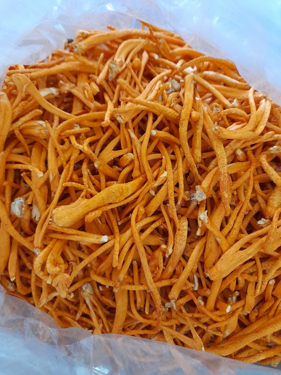 NẤM ĐÔNG TRÙNG HẠ THẢO AN GIA SẤY THĂNG HOA